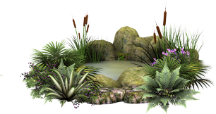 Природа, фотографии, огород, сад, животные и растения